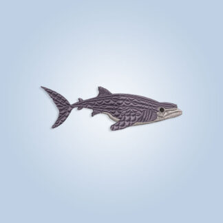 Whale Shark Embroidery design